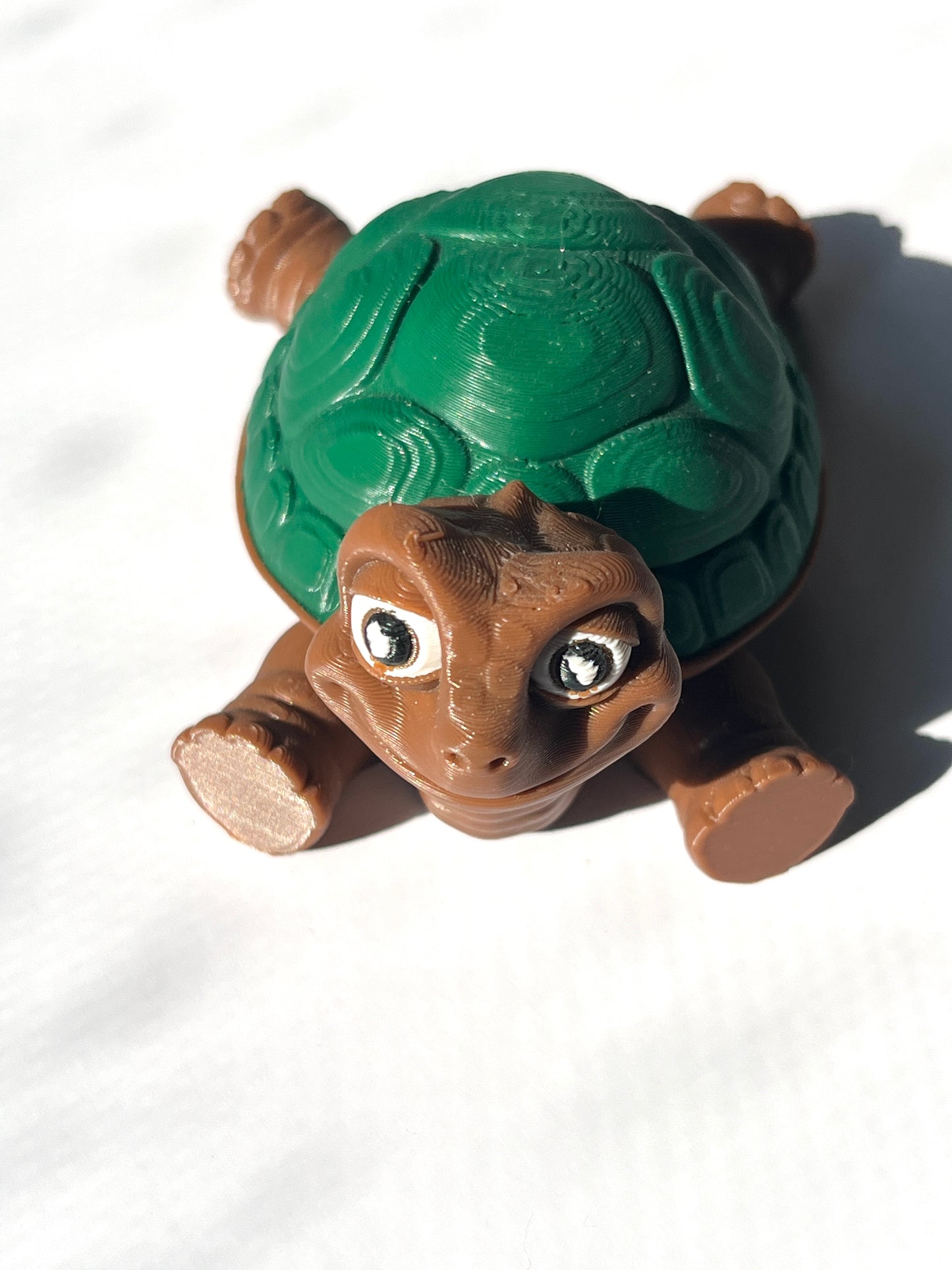 Flexi Tortoise
