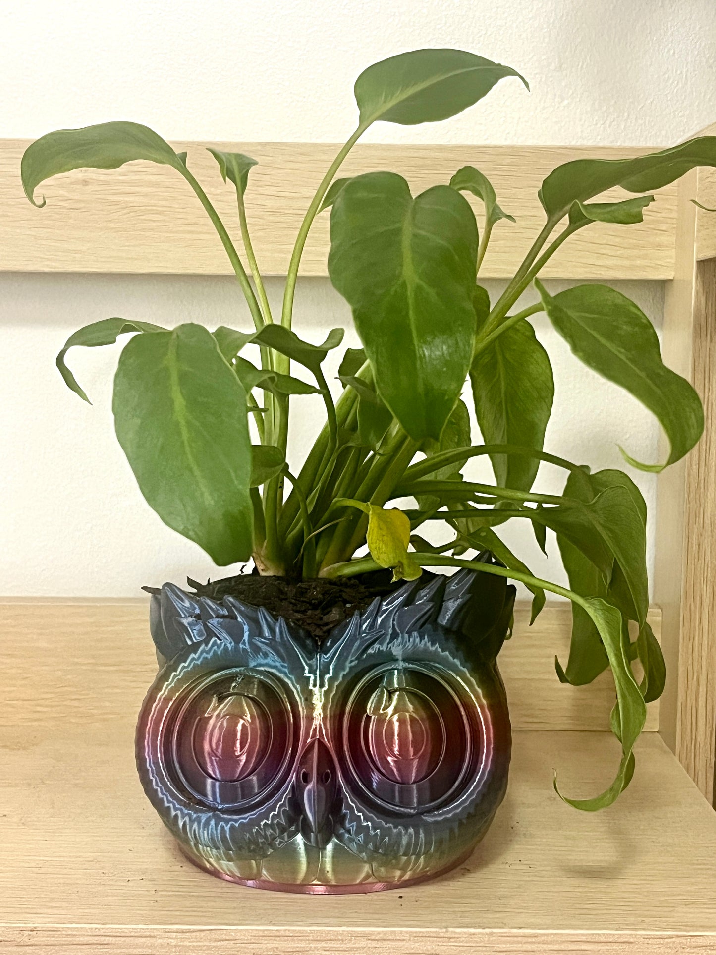 Owl Planter Rainbow