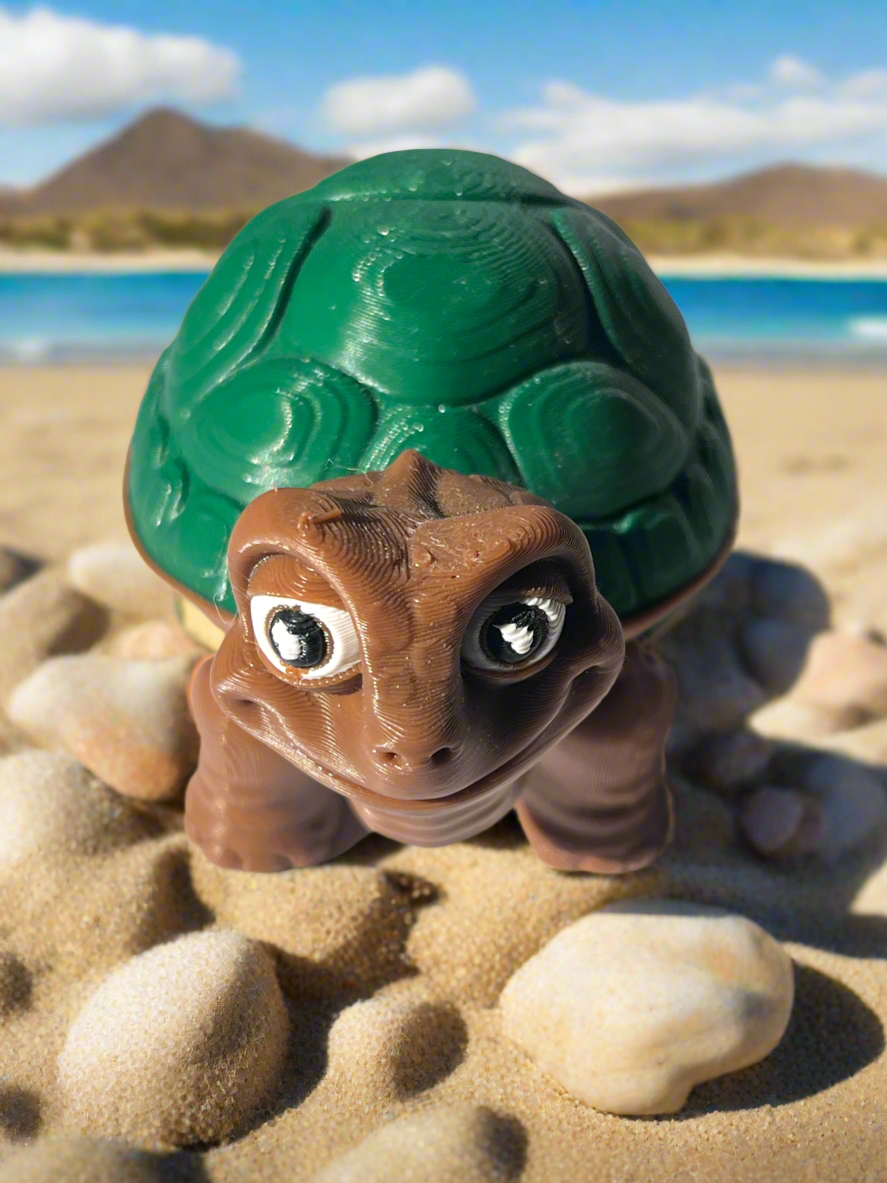 Flexi Tortoise