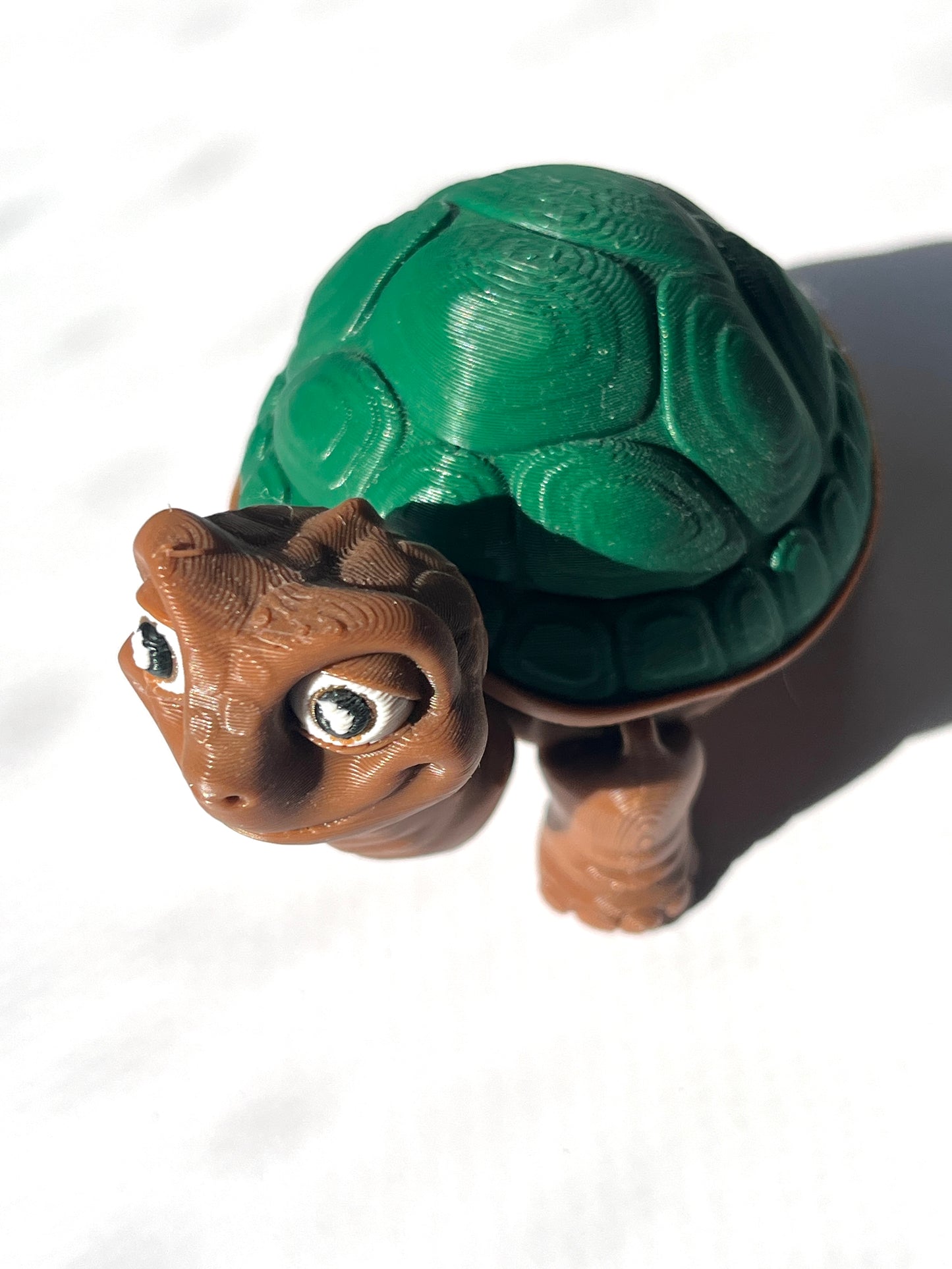 Flexi Tortoise