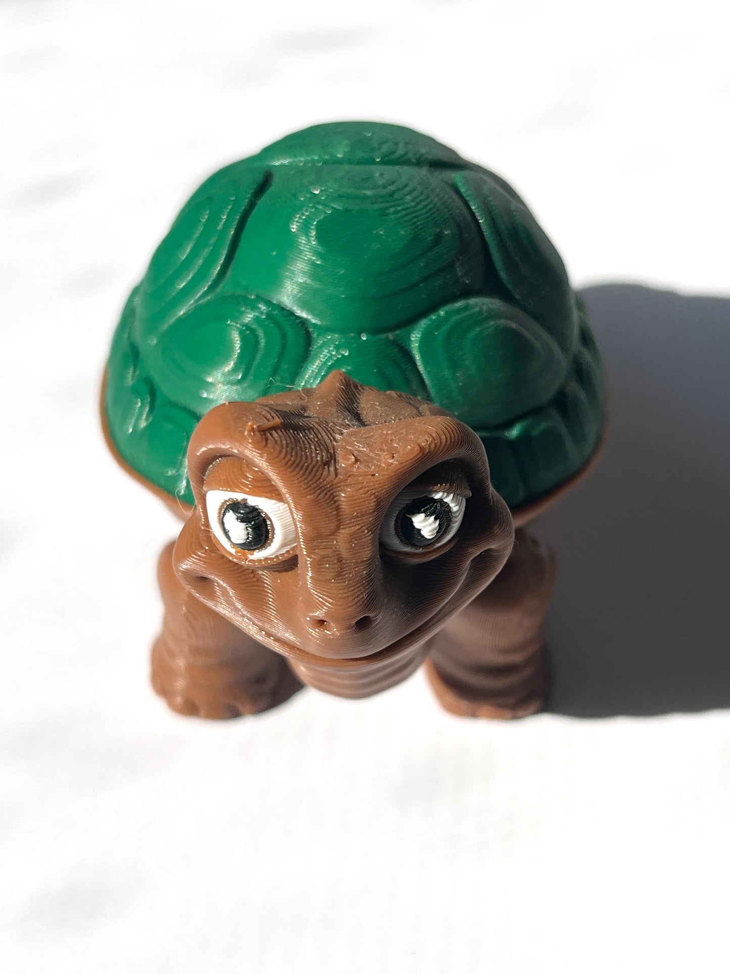 Flexi Tortoise