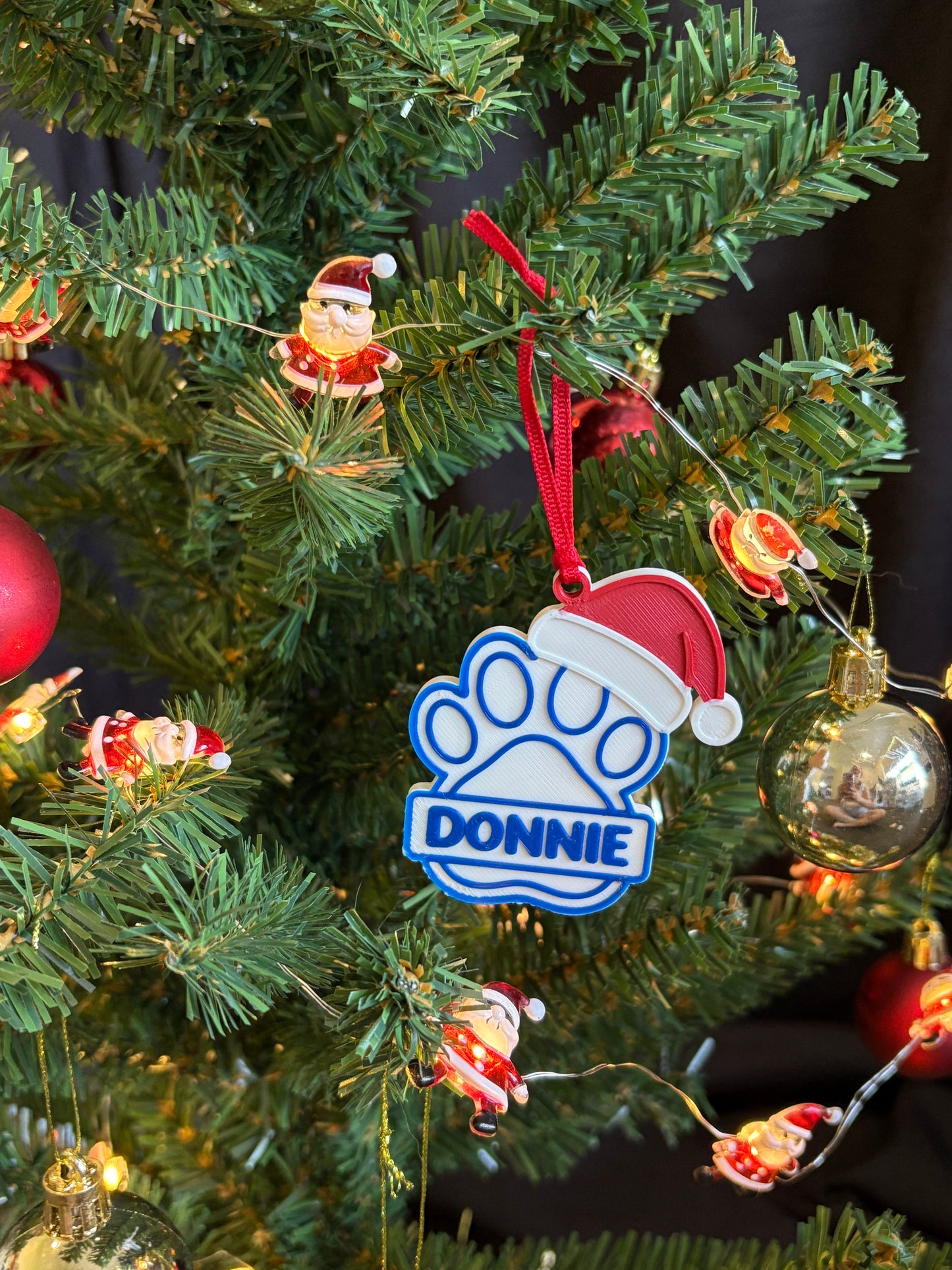 Personalised Pet Ornament